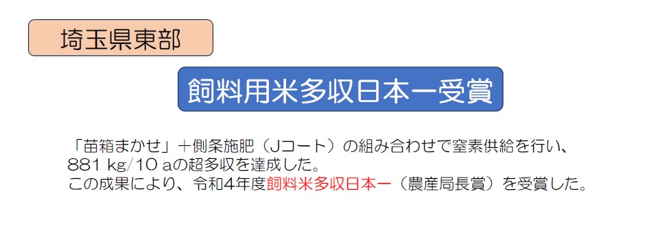 saitama1 (1)