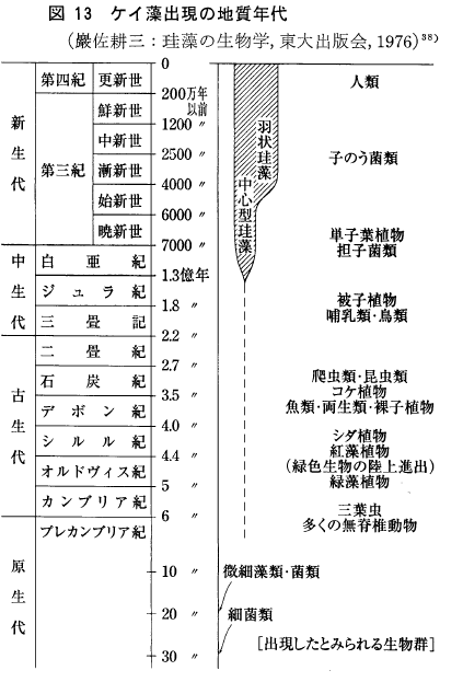 image-1019