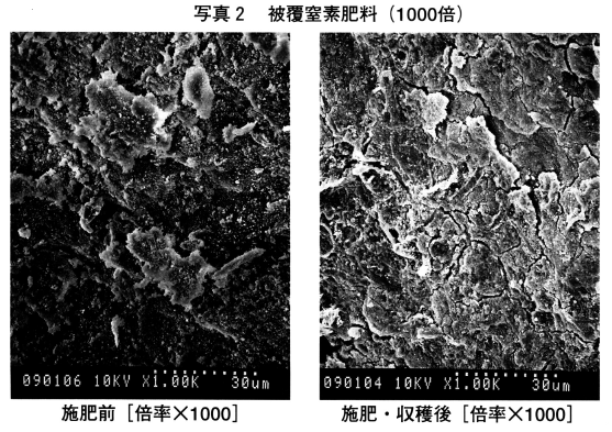 image-520