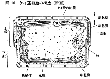 image-32