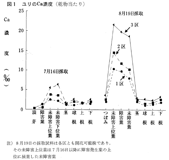 図１ユリのCa濃度