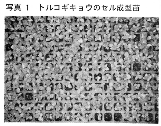 スクリーンショット 2026-09-14 114449